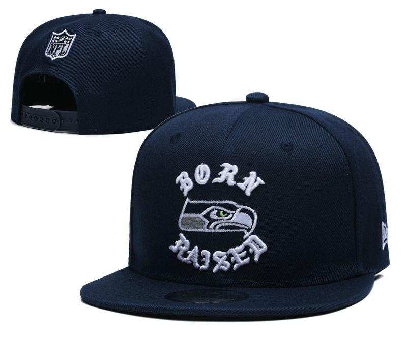 2025 NFL Seattle Seahawks Hat YS2025411